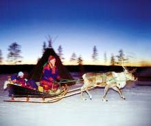 Финляндию (курорт Леви) на новый год из Казани. Катание на санях с оленями.