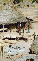 Сенегал. Традиционная деревня.