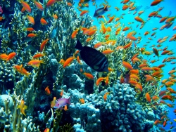 Туры в Египет в сентябре из Казани