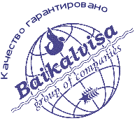BaikalVisa
